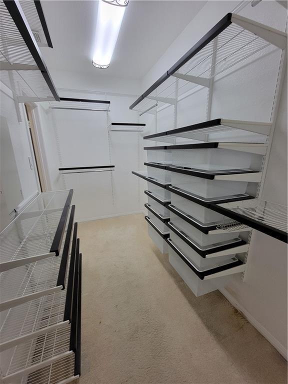 walk in closet featuring carpet flooring