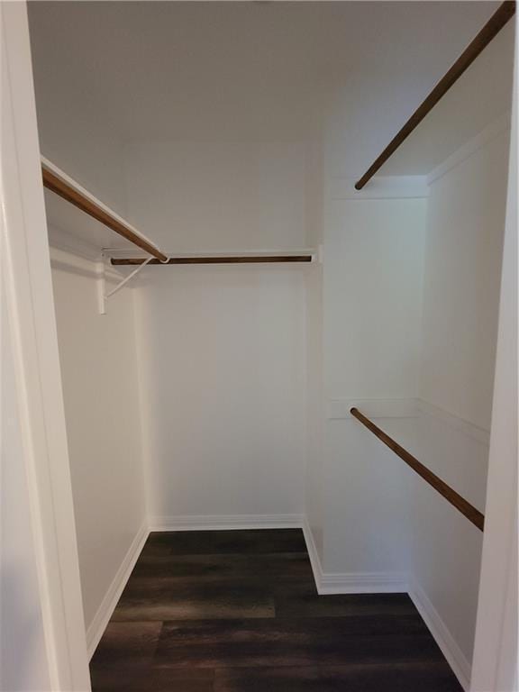 spacious closet with dark wood-style floors