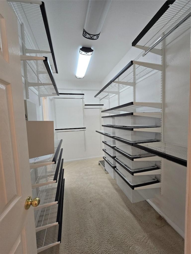 1411 Hunter Ace Way, Cedar Park, TX 78613 - walk in closet featuring carpet floors