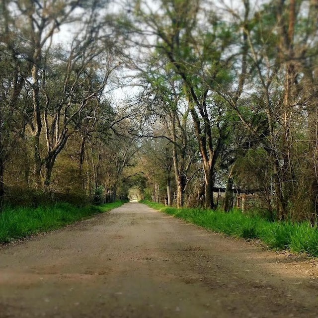 11900 Tunnel Trl, Manchaca, TX 78652 - view of street with a view of trees