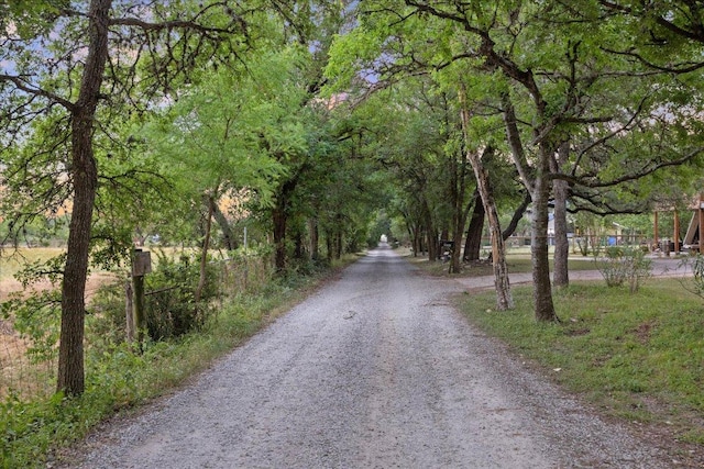 11900 Tunnel Trl, Manchaca, TX 78652 - view of dirt / gravel road