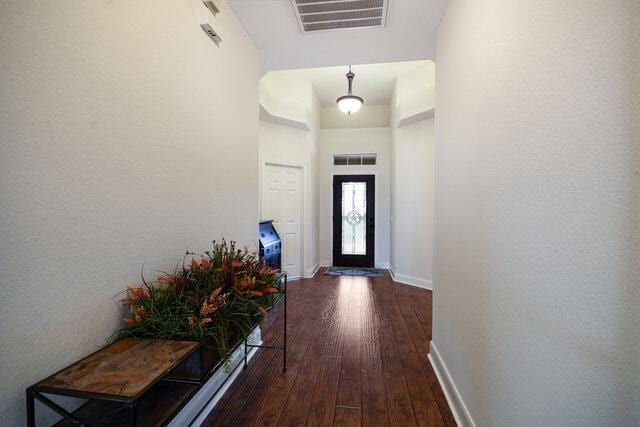 3200 Argento Pl, Cedar Park, TX 78613 - doorway with dark wood-style flooring and baseboards