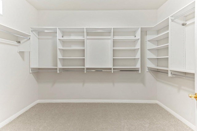 103 Winecup Way, Georgetown, TX 78633 - spacious closet featuring carpet