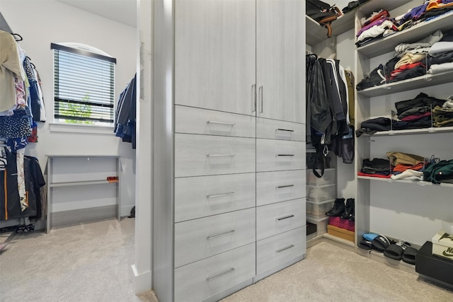 2905 Canto Trce, Leander, TX 78641 - walk in closet featuring light carpet