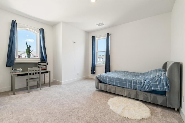2905 Canto Trce, Leander, TX 78641 - bedroom featuring baseboards and carpet floors