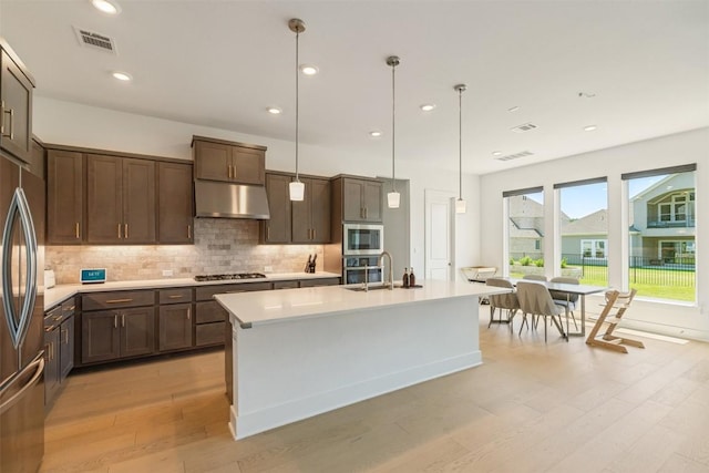2905 Canto Trce, Leander, TX 78641 - kitchen featuring appliances with stainless steel finishes, a sink, light wood finished floors, light countertops, and under cabinet range hood