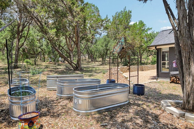 400 Goodnight Trl, Dripping Springs, TX 78620 - view of yard