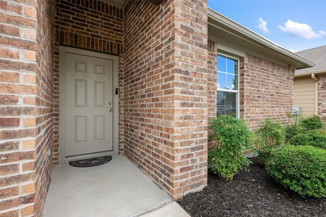11209 Malta Dr, Manor, TX 78653 - photo 3
