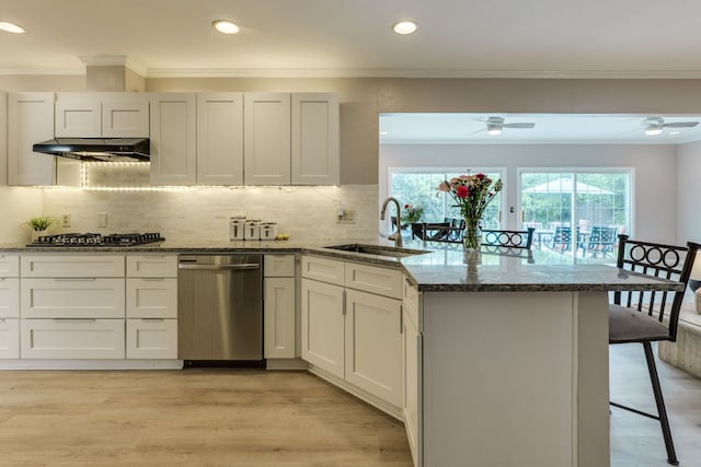3002 Stardust Dr, Austin, TX 78757 - kitchen with a sink, stainless steel appliances, under cabinet range hood, a peninsula, and dark stone countertops