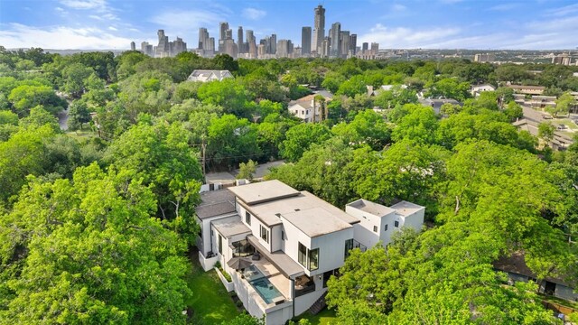 1115 Gillespie Pl, Austin, TX 78704 - bird's eye view of city skyline