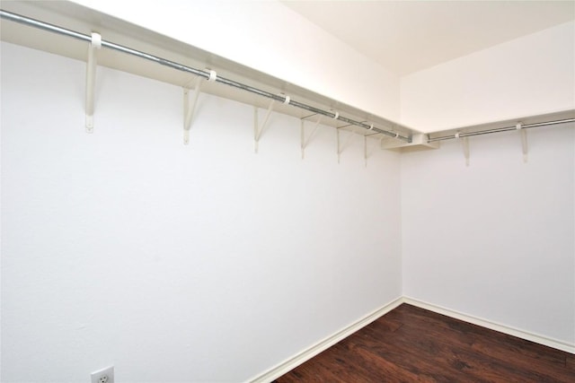 1902 Tranquilo Trl, Austin, TX 78744 - walk in closet with dark wood-style flooring