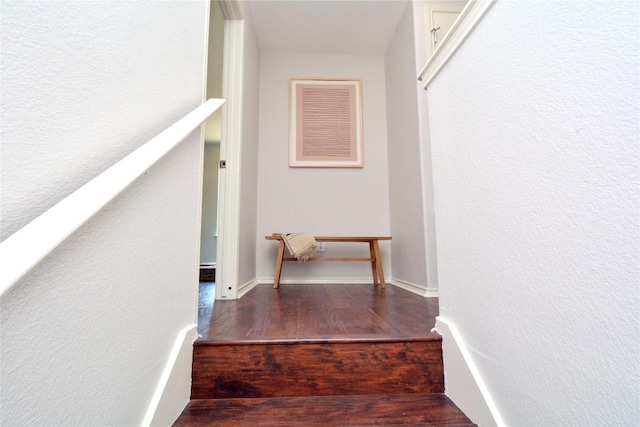 1902 Tranquilo Trl, Austin, TX 78744 - staircase with wood finished floors