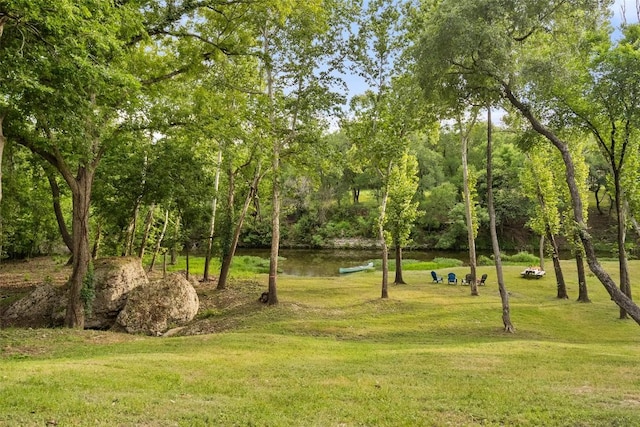 2924 Gabriel View Dr, Georgetown, TX 78628 - view of home's community with a yard and a water view