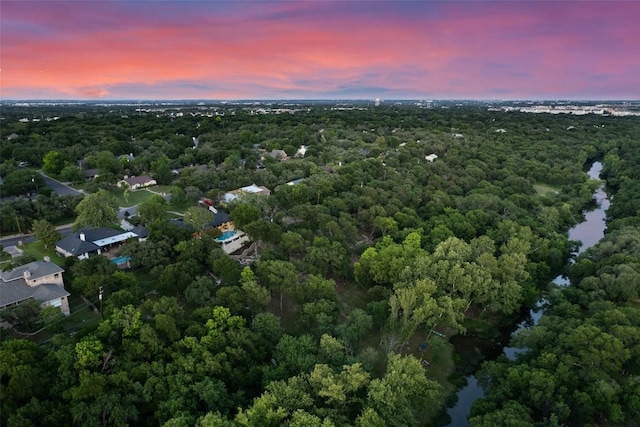 2924 Gabriel View Dr, Georgetown, TX 78628 - aerial view at dusk of a wooded view