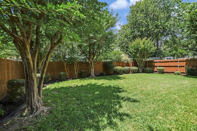 10902 Sierra Oaks, Austin, TX 78759 - view of yard