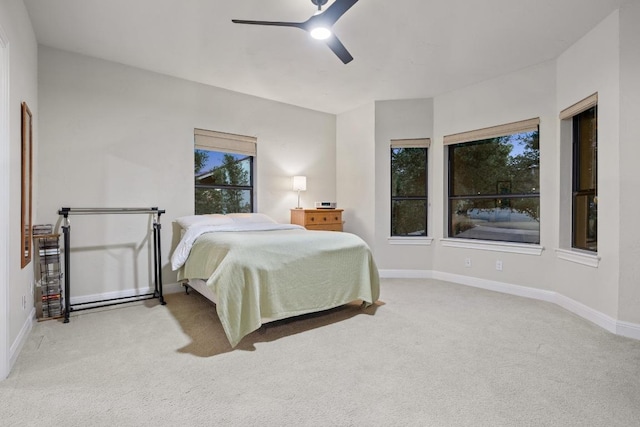 7201 Holly Fern Cv, Austin, TX 78750 - photo 24