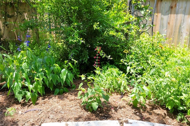 504 Tyree Rd, Cedar Park, TX 78613 - view of nature