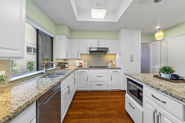 8126 Greenslope Dr, Austin, TX 78759 - kitchen featuring stainless steel appliances, a sink, under cabinet range hood, a tray ceiling, and white cabinets