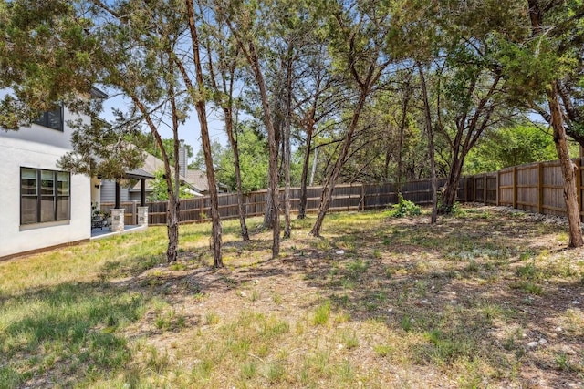 2 Basswood Cir, Wimberley, TX 78676 - view of fenced backyard