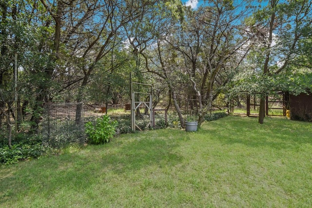 301 Navajo Trl, Georgetown, TX 78633 - view of green lawn