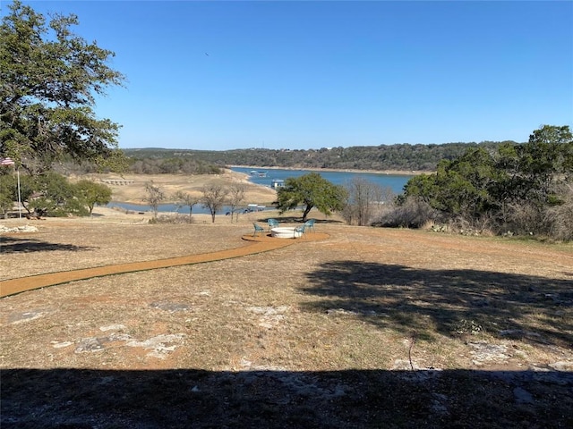 401 Lake View Dr, Spicewood, TX 78669 - photo 23