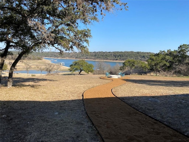 401 Lake View Dr, Spicewood, TX 78669 - photo 9