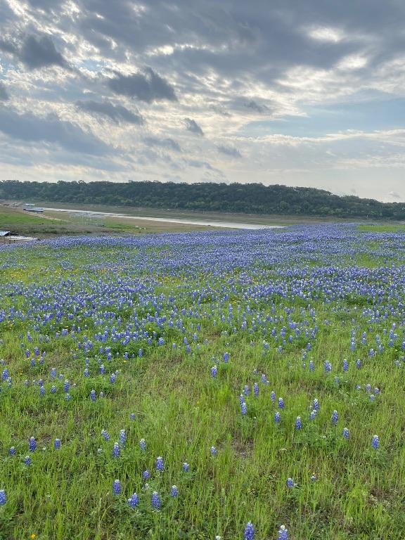 401 Lake View Dr, Spicewood, TX 78669 - photo 12
