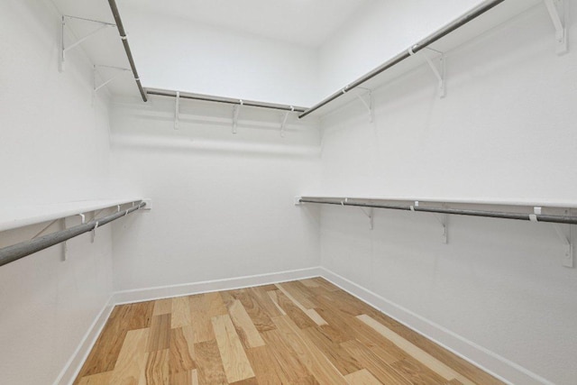 16825 Roselin Dr, Austin, TX 78738 - walk in closet with light wood-style flooring
