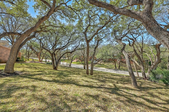 2804 Rock Way, Austin, TX 78746 - view of grassy yard