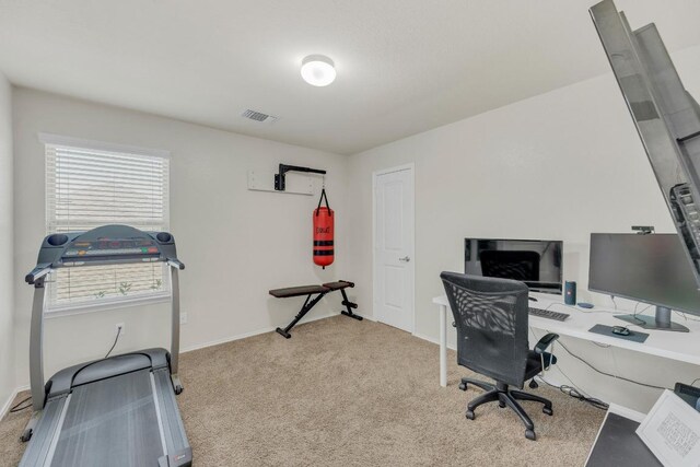 116 Bufflehead, Leander, TX 78641 - office featuring carpet flooring and baseboards