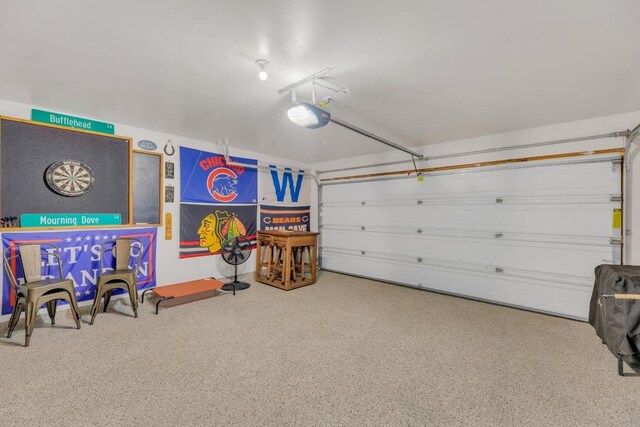 116 Bufflehead, Leander, TX 78641 - garage featuring a garage door opener