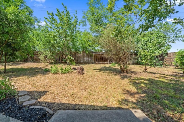 1012 Chesapeake Dr, Austin, TX 78758 - view of yard