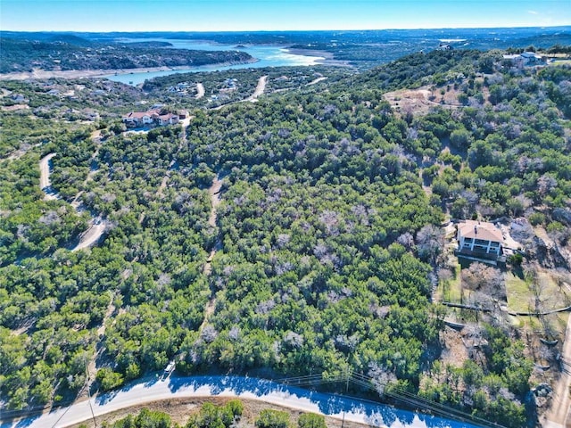 17464 E Reed Parks Rd, Jonestown, TX 78645