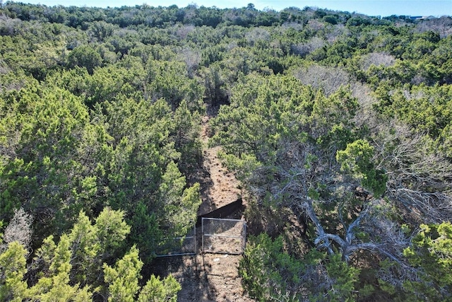 17464 E Reed Parks Rd, Jonestown, TX 78645