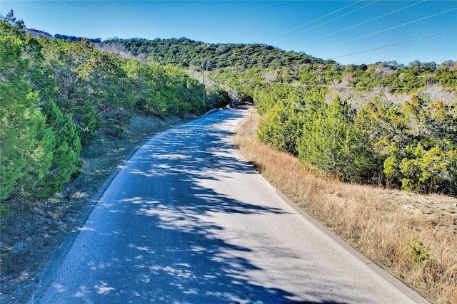 17464 E Reed Parks Rd, Jonestown, TX 78645