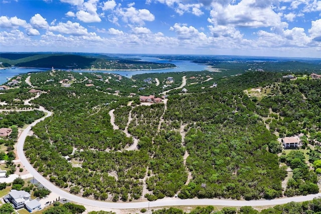 17464 E Reed Parks Rd, Jonestown, TX 78645