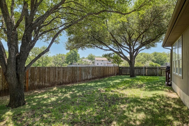 14943 Doria Dr, Austin, TX 78728 - view of yard