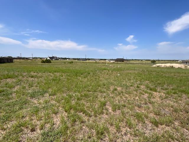 199 Panorama Bay Ave, Del Valle, TX 78617 - photo 4