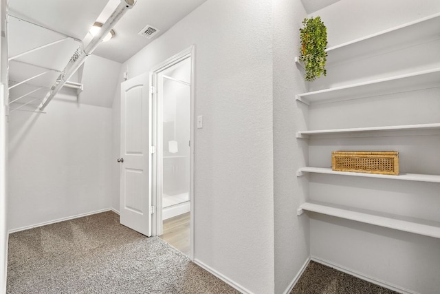 107 Nathaniel Dr, Taylor, TX 76574 - walk in closet featuring carpet flooring