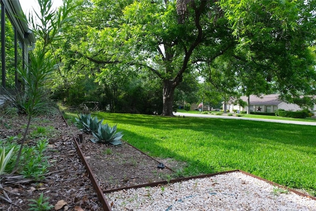 808 Vanguard St, Austin, TX 78734 - view of green lawn