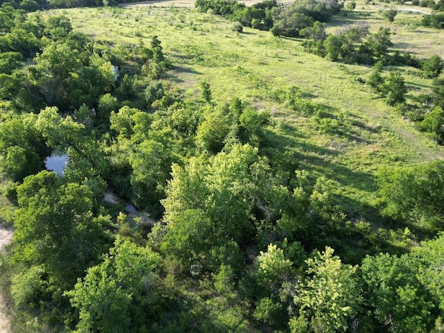 LOT52 Marvin Ln, Bertram, TX 78605