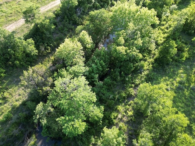 LOT52 Marvin Ln, Bertram, TX 78605