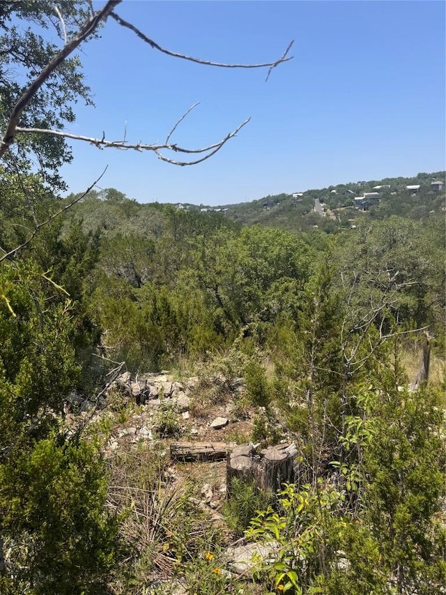 2508 Geronimo Trl, Austin, TX 78734 - photo 6