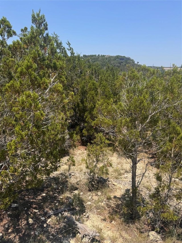 2506 Geronimo Trl, Austin, TX 78734 - photo 17