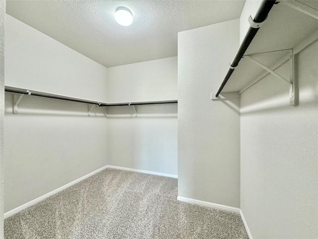 2721 Bridekirk Dr, Round Rock, TX 78664 - spacious closet featuring carpet