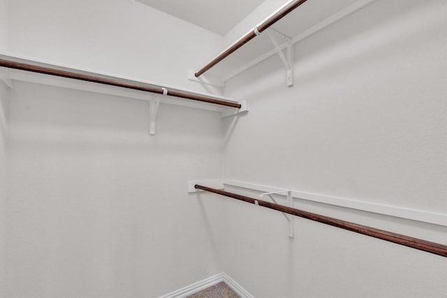204 Chickadee Ln, Leander, TX 78641 - view of walk in closet