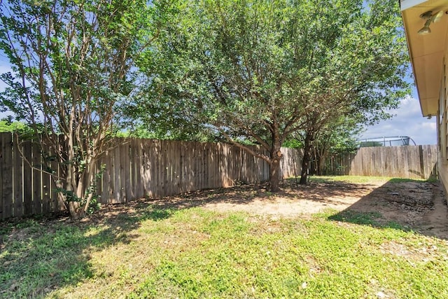 204 Chickadee Ln, Leander, TX 78641 - view of yard