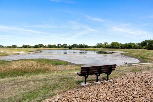 213 Russet Trl, Georgetown, TX 78628 - view of property's community with a water view