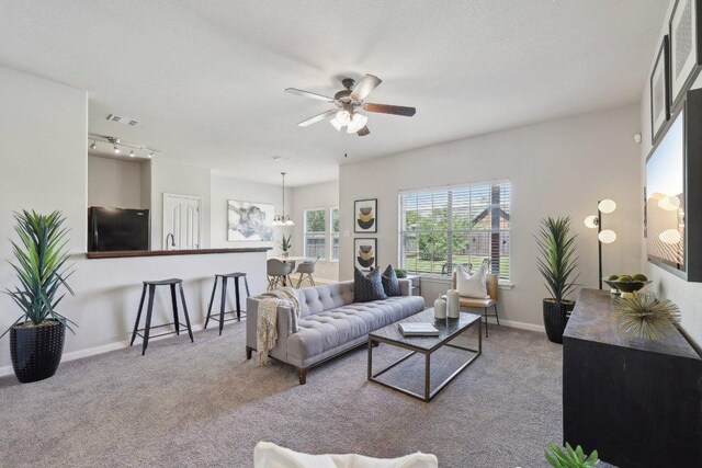 1207 Tricia Cv, Hutto, TX 78634 - living area with carpet flooring, ceiling fan, baseboards, and a chandelier