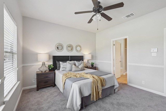 1207 Tricia Cv, Hutto, TX 78634 - bedroom with multiple windows, carpet floors, and baseboards